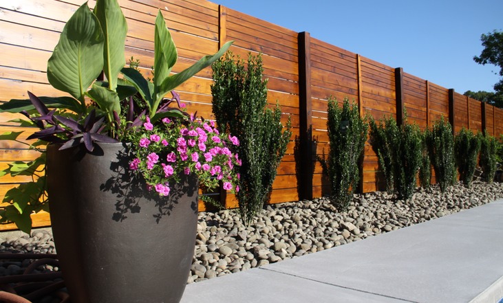 FENCE